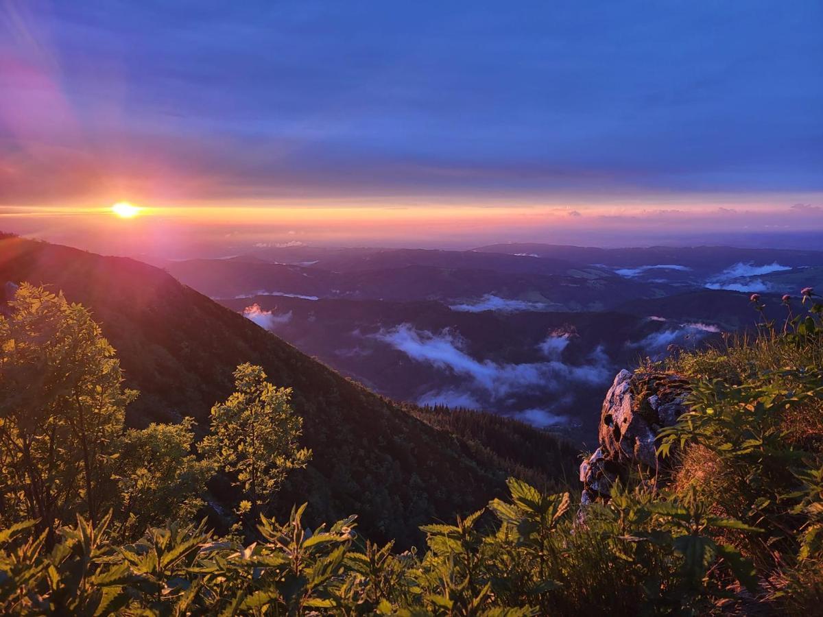 Christophorushuette Am Feuerkogel Otel Ebensee Dış mekan fotoğraf